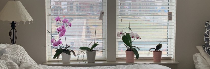 Rocioalees's profile banner image