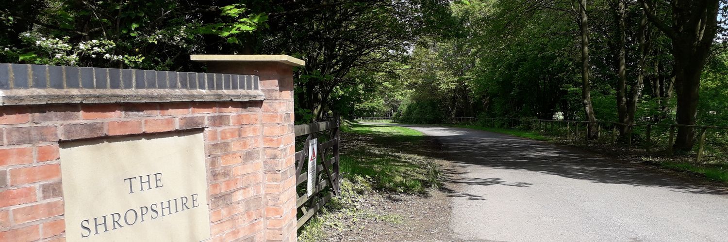 💙 Just Carolyn banner