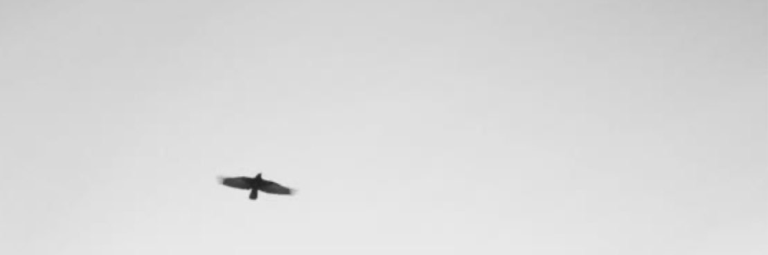 7hs20_'s profile banner image