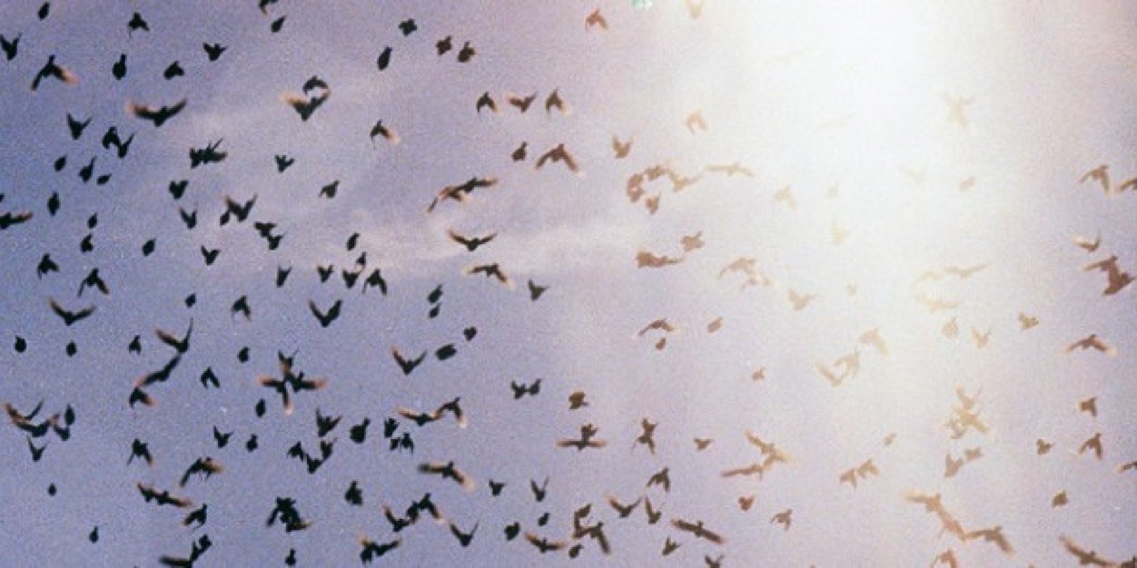 2o46 banner