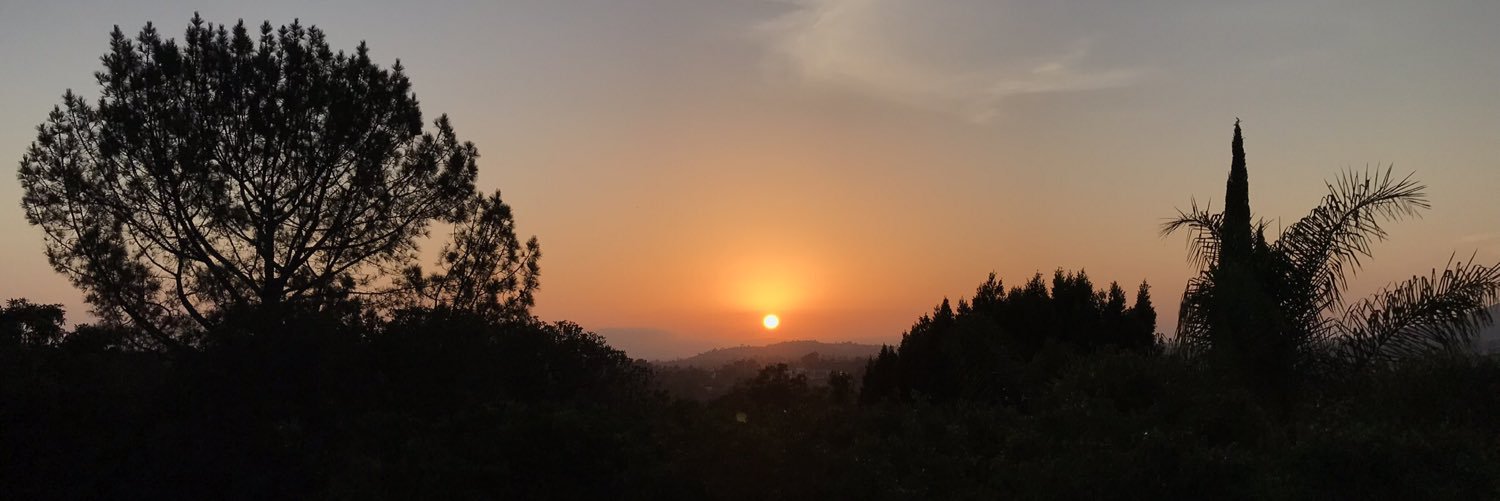 lisawhaz's profile banner image
