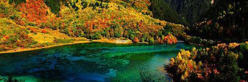 *Loser Hero.. banner