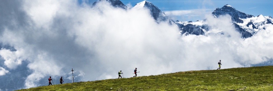 Ronald Velten banner