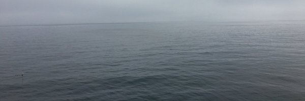 laura_cas93 Profile Banner