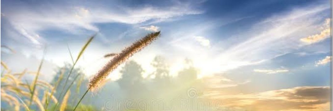 ASmile88's profile banner image