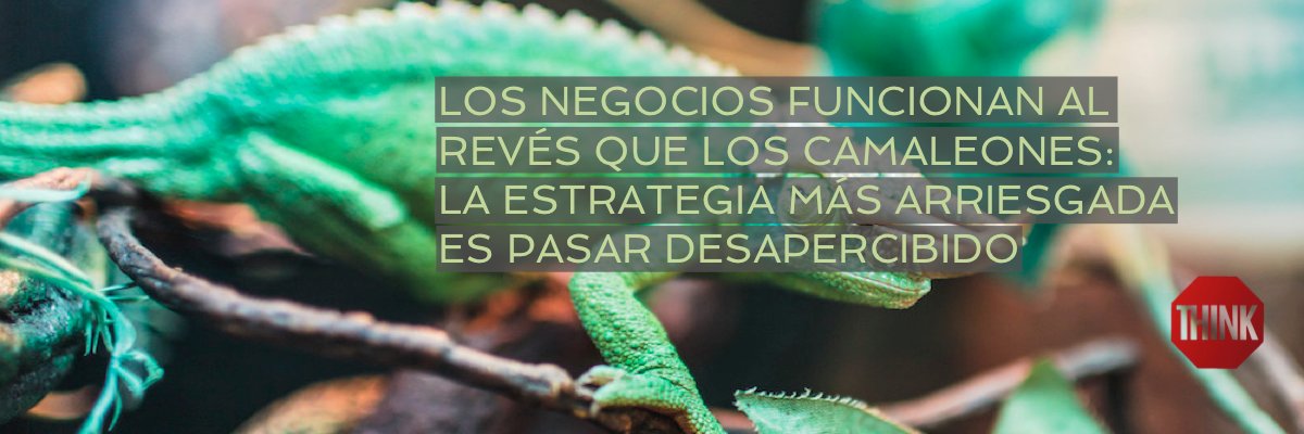 ata_arrospide's profile banner image