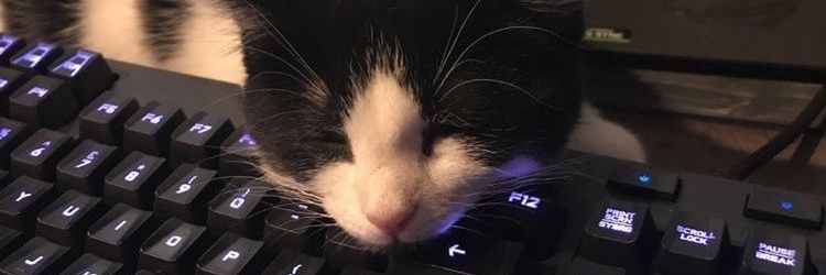 User51274's profile banner image