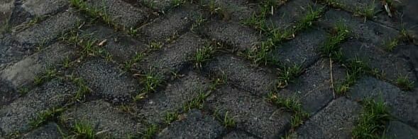 Rizalsaefuddin's profile banner image