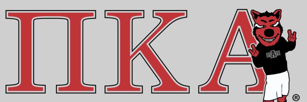 astatepike's profile banner image