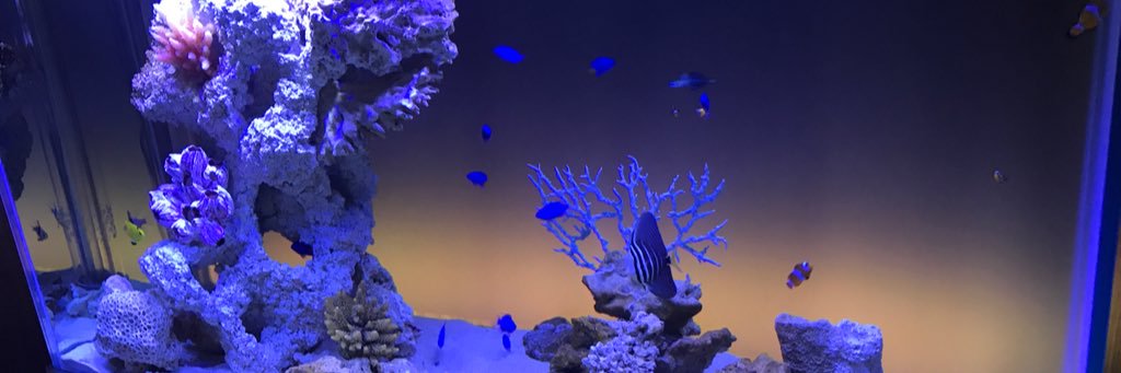 tsasaki13's profile banner image