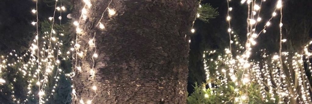 nicoled1199's profile banner image