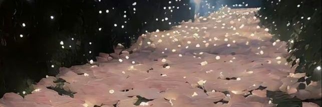 Maria Beatriz banner