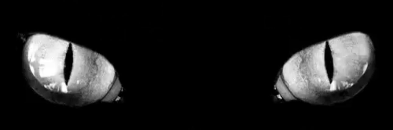 ie7xll's profile banner image