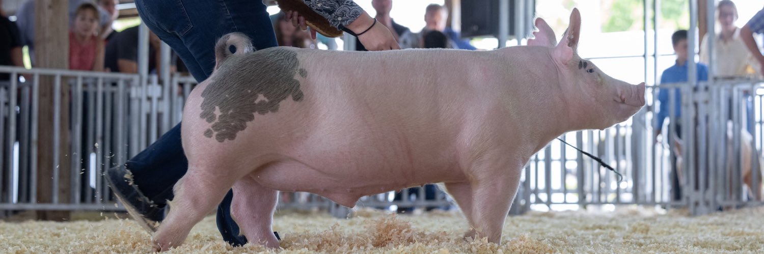 friese15's profile banner image
