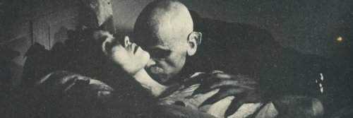 Matt banner