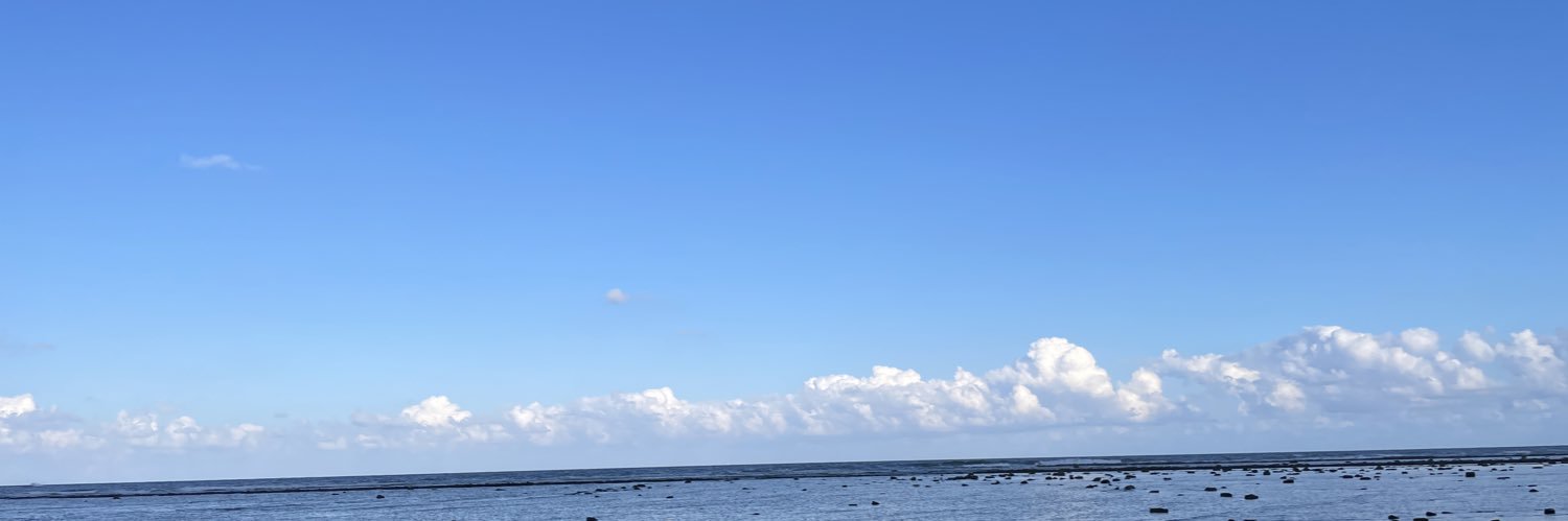 アリー@動画編集者 banner