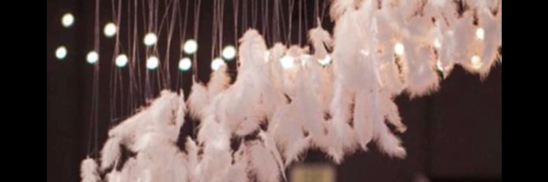 mego611's profile banner image