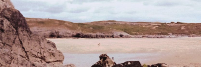 CarlJaneli29162's profile banner image