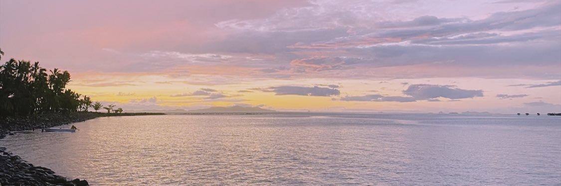 Olga Bulka banner