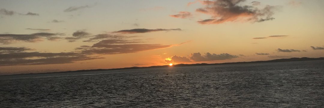 florayss__'s profile banner image