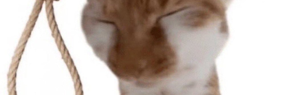 SpicyGapple's profile banner image