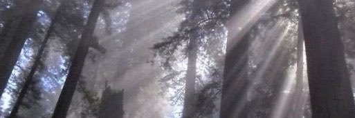lossandlain's profile banner image