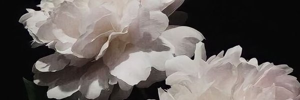 Blue_Cake056 Profile Banner