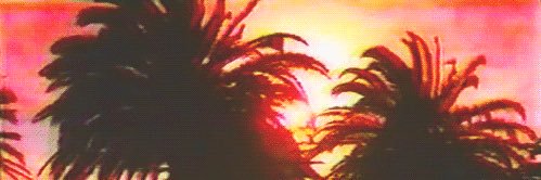 fermartinezmk's profile banner image