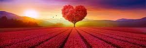 SunilMohan52792's profile banner image