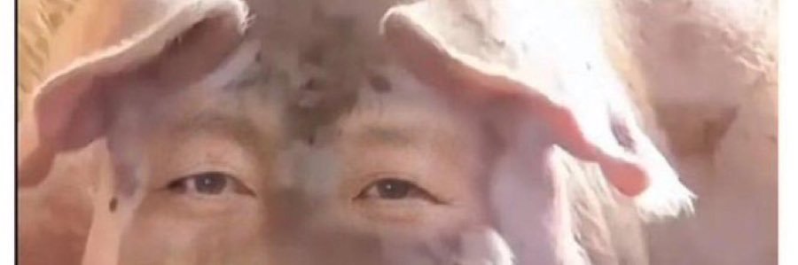 jasonball96's profile banner image