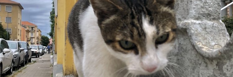 Enriel23's profile banner image