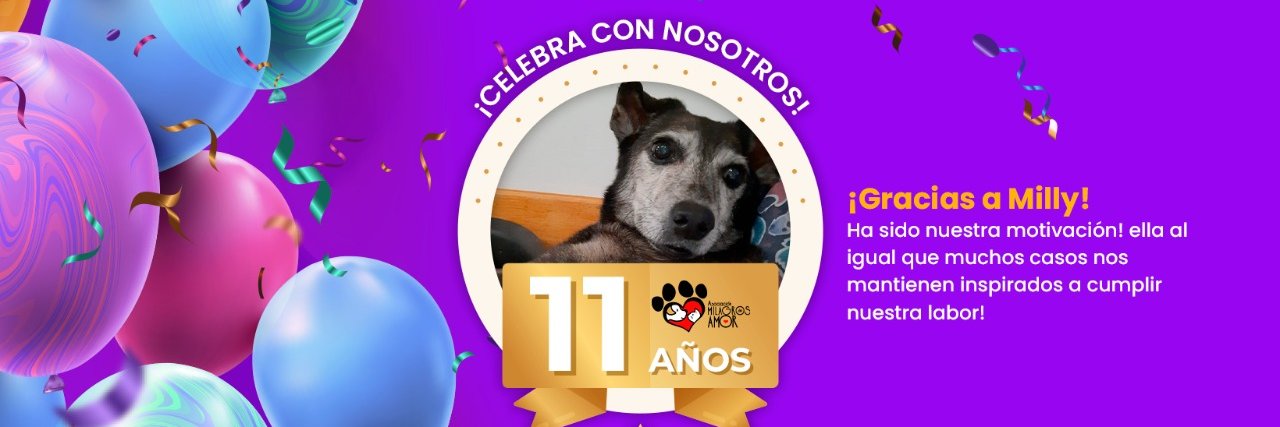 MilanguitosESA's profile banner image