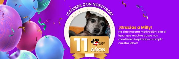 MilanguitosESA Profile Banner