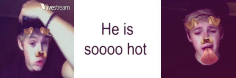 Aleja IS missing niall★ banner