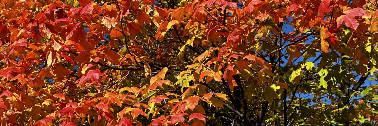 olivialee_7's profile banner image