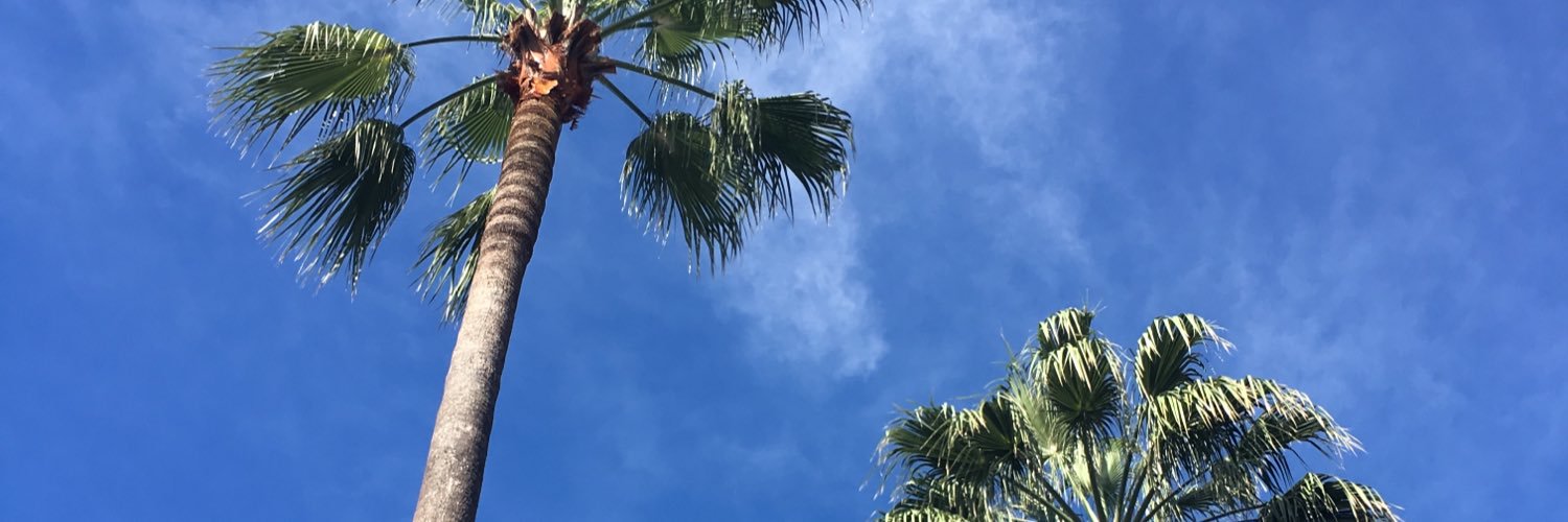 CathLlewRob's profile banner image
