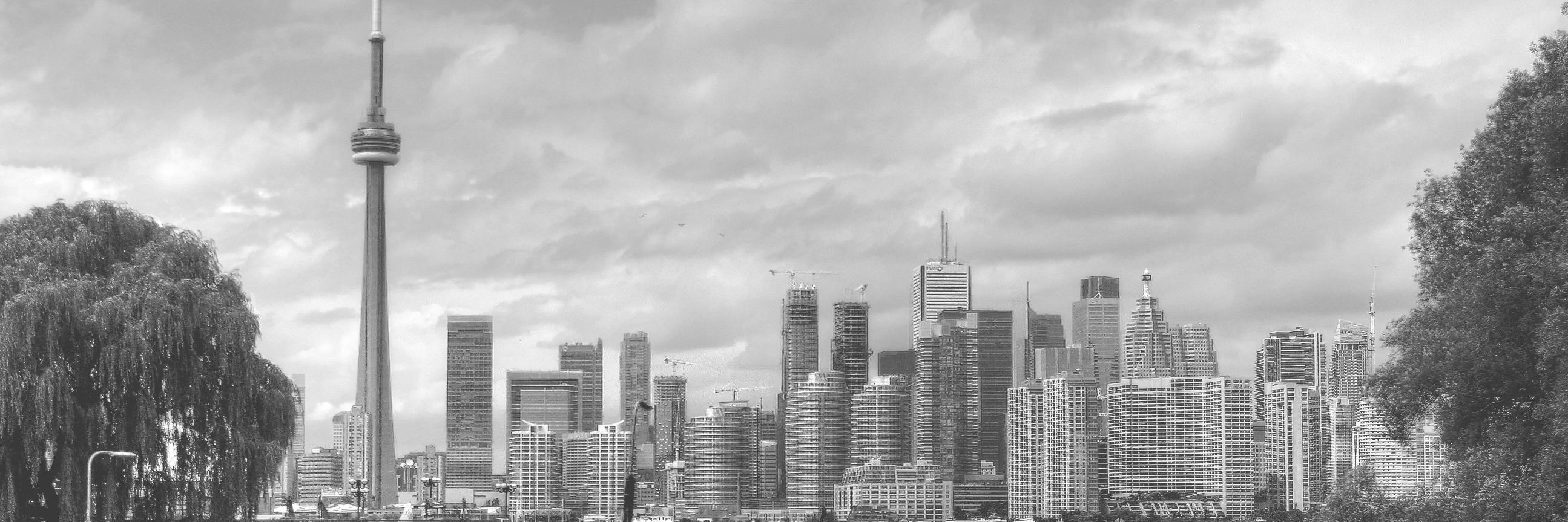 RMernick's profile banner image