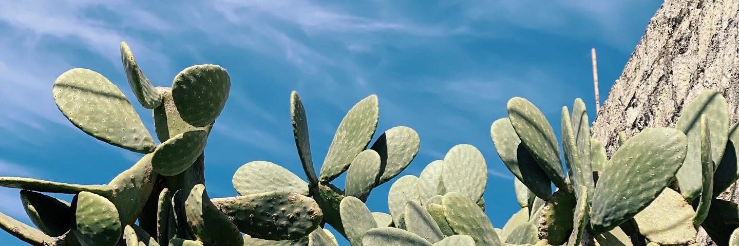 PortelliMP's profile banner image