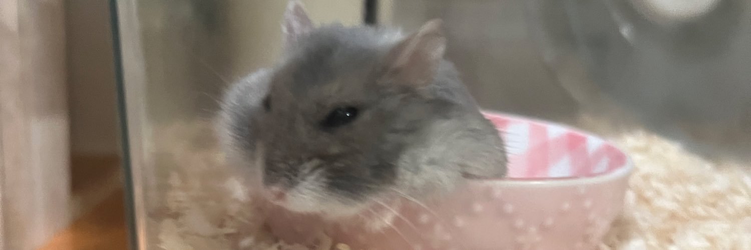 ハムっと🐹みなみ banner