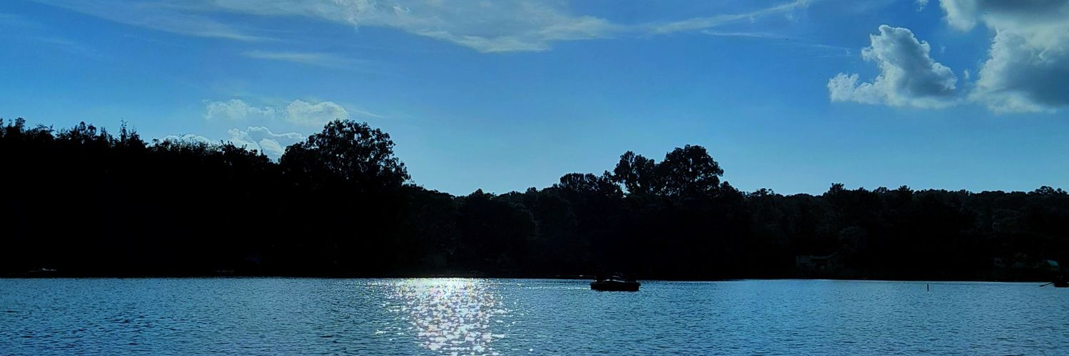 Anguwilson's profile banner image