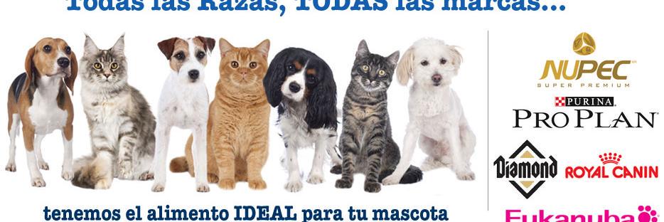 petsHomeMX's profile banner image