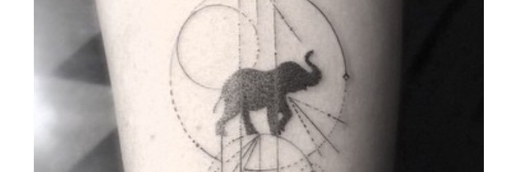 fdzhntcla's profile banner image