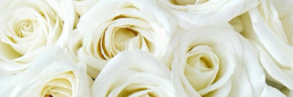 ElsaNindia29's profile banner image