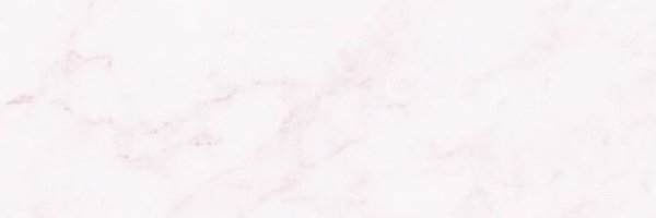 nya3ri Profile Banner
