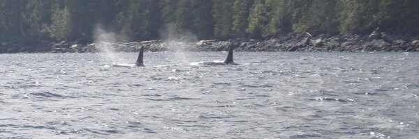 econwriter5 Profile Banner