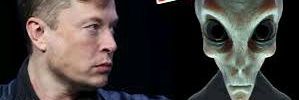 paulilakut's profile banner image