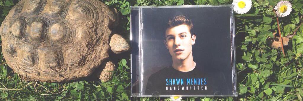 tmzmendes's profile banner image