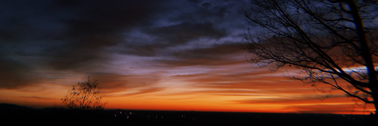 ashleighdalyn's profile banner image