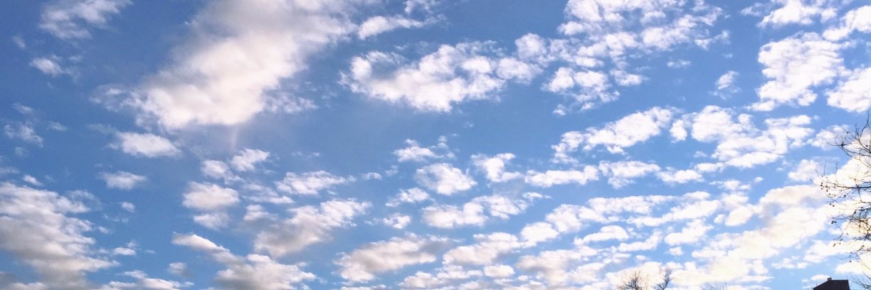 Lzbrlnt's profile banner image