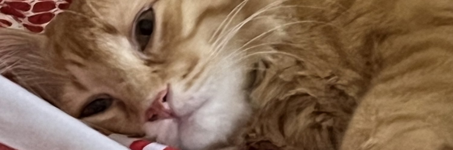 fvckri's profile banner image